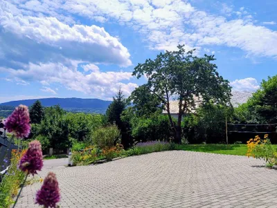 5-Zimmer-Haus kaufen in Sankt Pölten Land – 160 m², € 620.000 – Bild 11 von 50