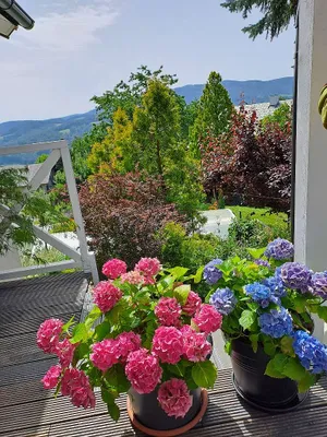 5-Zimmer-Haus kaufen in Sankt Pölten Land – 160 m², € 620.000 – Bild 34 von 50