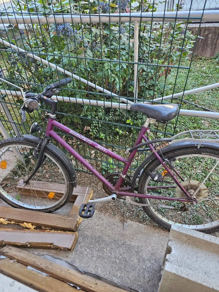 fully e-bike Warrior Full Suspension All Terrain eBike, Warrior Pro (Torque Sensor) / Solar Flare Personalisierung:Mit Motiv + Schmetterlinge Foto: Cube Agree 2008 strength front fork suspension Brose Drive S