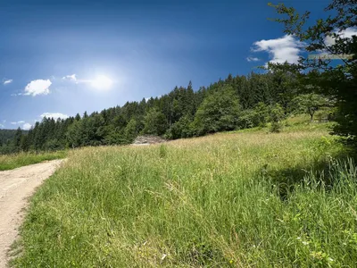 Grundstück kaufen in Villach Land – 1 200 m², € 299.500 – Bild 3 von 6