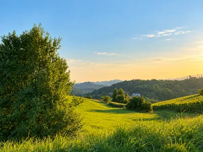 Grundstück kaufen in Leibnitz – 7 800 m²