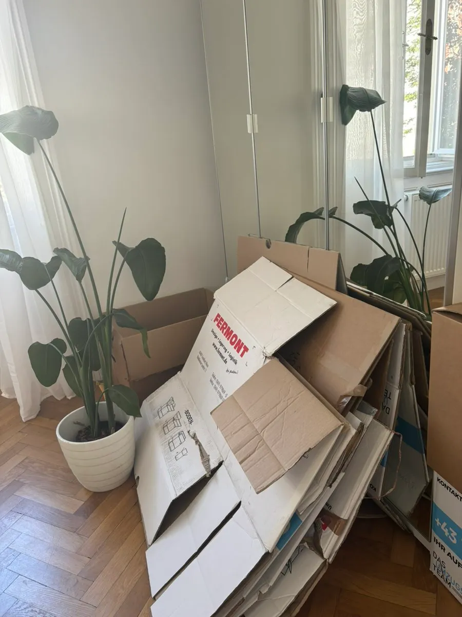 Umzugskartons zu verschenken, € 0,- (1080 Wien)