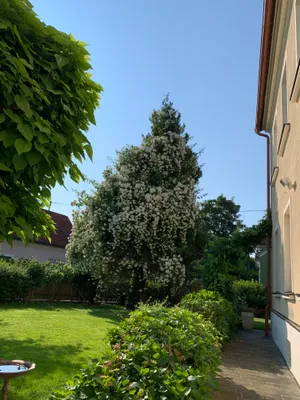 Wohnung mieten in Hartberg-Fürstenfeld – 140 m², € 1.310 – Bild 27 von 27