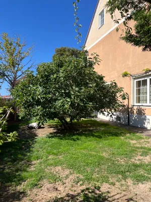 Wohnung mieten in Hartberg-Fürstenfeld – 140 m², € 1.310 – Bild 23 von 27