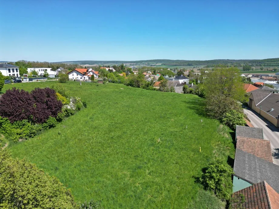 Unmittelbare Korneuburg-Nähe: Tresdorf - knapp 6.000 m² Bauland mit Altbestand - Ansicht 2