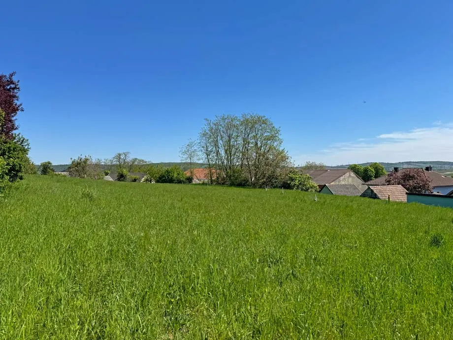 Unmittelbare Korneuburg-Nähe: Tresdorf - knapp 6.000 m² Bauland mit Altbestand - Ansicht 3