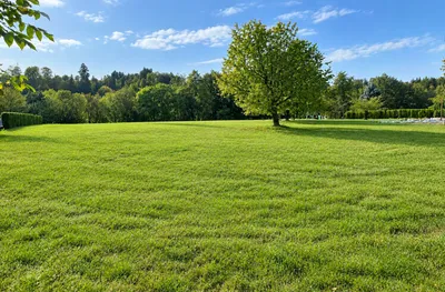 Grundstück kaufen in Salzburg-Umgebung – 1 342 m² – Bild 1 von 3