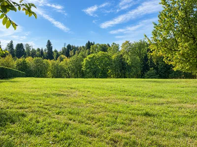 Grundstück kaufen in Salzburg-Umgebung – 1 342 m² – Bild 2 von 3