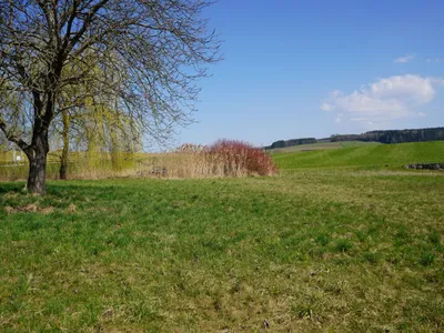 Grundstück kaufen in Braunau am Inn – 2 574 m², € 400.000 – Bild 3 von 9