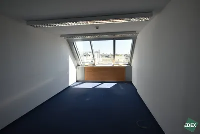 Gewerbeimmobilie mieten in Wien – 556 m², € 19 – Bild 6 von 10
