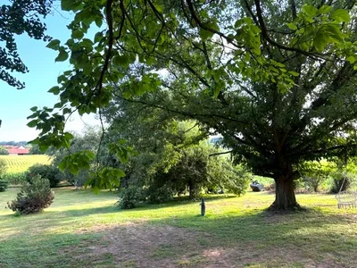 4-Zimmer-Immobilie kaufen in Südoststeiermark – 244 m², € 569.000 – Bild 29 von 30