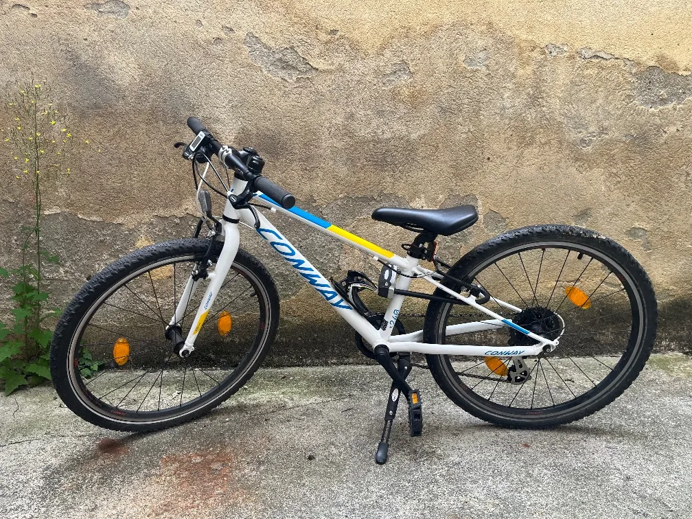 damen rennrad peugeot Peugeot Lady  Der ReCyclist