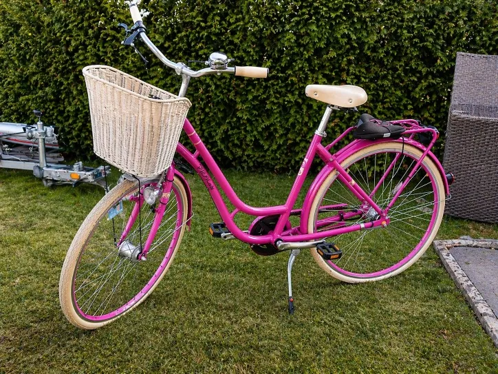 elektrofahrrad gebraucht 26 zoll DYU C6 City-Elektrofahrrad CDEFG Kompatibel mit Mini nintendo switch dock Model:Alfine 11