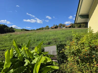 Haus kaufen in Südoststeiermark – 175 m², € 485.000 – Bild 5 von 60