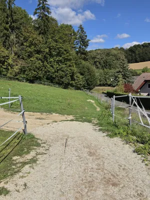 Haus kaufen in Südoststeiermark – 175 m², € 485.000 – Bild 50 von 60
