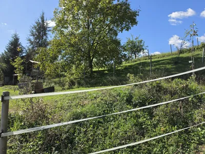 Haus kaufen in Südoststeiermark – 175 m², € 485.000 – Bild 43 von 60