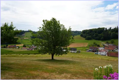 7-Zimmer-Gewerbeimmobilie kaufen in Südoststeiermark – 225 m², € 493.000 – Bild 9 von 56