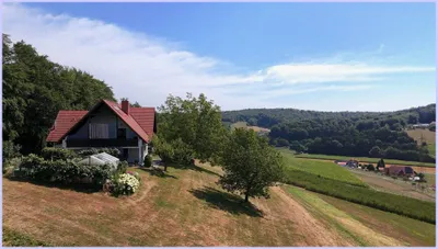 7-Zimmer-Gewerbeimmobilie kaufen in Südoststeiermark – 225 m², € 493.000 – Bild 3 von 56