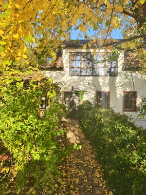 1-Zimmer-Wohnung mieten in Krems an der Donau – 20 m², € 480 – Bild 7 von 7