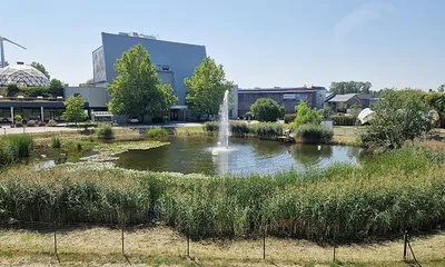 Gewerbeimmobilie mieten in Hartberg-Fürstenfeld – 95 m², € 930 – Bild 12 von 12