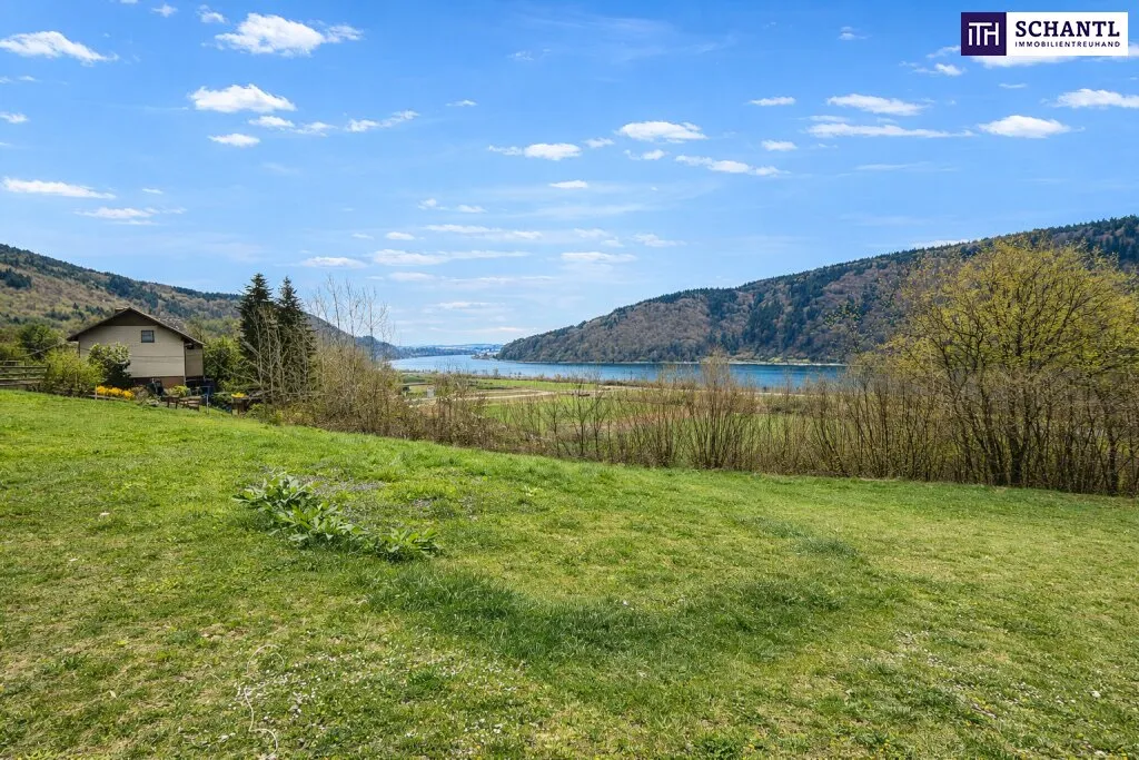 Katzensprung von Ybbs/D. - Mehr Grundstück für wenig Geld! Seltenes Baugrundstück mit genialem Donau-Blick in ruhiger Lage: 2.168 m² für großzügiges Eigenheim, Mehrgenerationenwohnen oder Wohnen & A – pohled 3