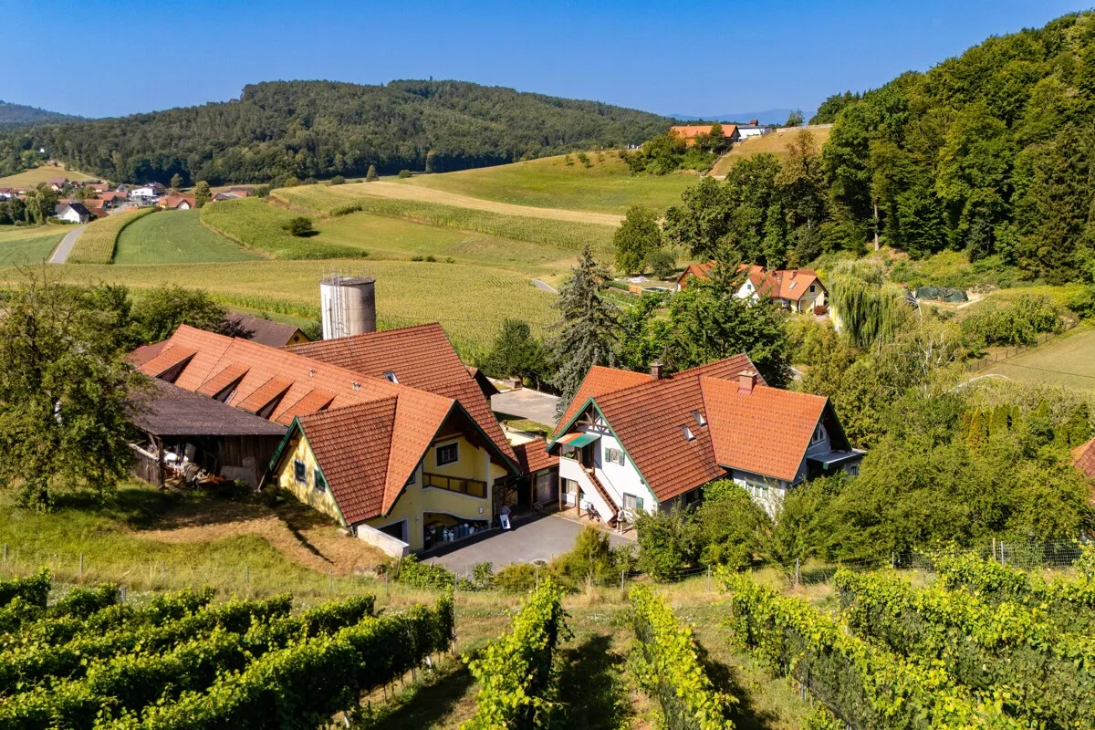 Haus – Sankt Nikolai im Sausal, Bezirk Leibnitz