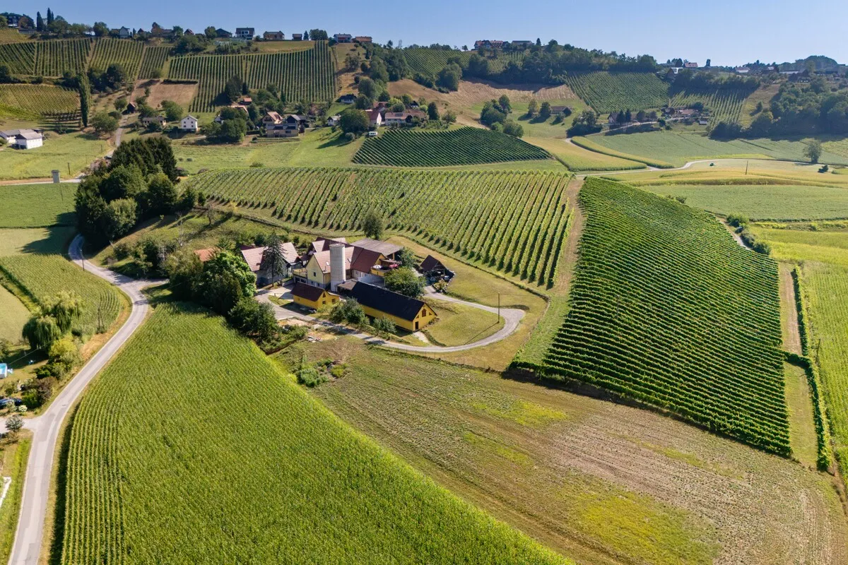 Haus – Sankt Nikolai im Sausal, Bezirk Leibnitz - Ansicht 2