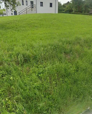 Grundstück kaufen in Eferding – 1 450 m², € 304.500 – Bild 3 von 6