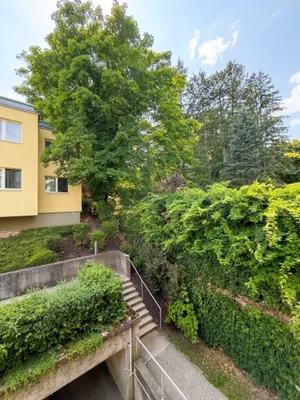 Frisch renovierte 3-Zimmer-Wohnung mit Balkon in grüner Bestlage neben Pötzleinsdorfer Schlosspark – Bild 2