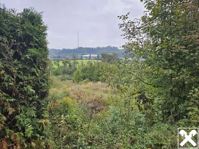Grundstück kaufen in Linz Land – 2 728 m² – Bild 2 von 2