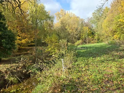 Grundstück mieten in Baden – 7 000 m², € 500 – Bild 3 von 7