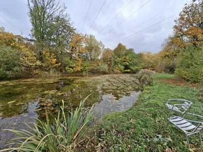 Grundstück mieten in Baden – 7 000 m², € 500 – Bild 4 von 7