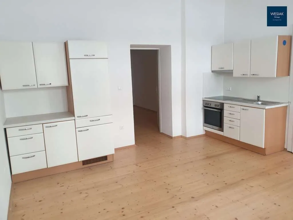 Weißeneggergasse 14/2: Zentrale Singlewohnung mit Gartenmitbenützung - Ansicht 2
