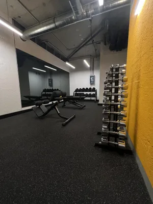 2-Zimmer-Wohnung mieten in Wien – 50 m², € 1.520 – Bild 23 von 24