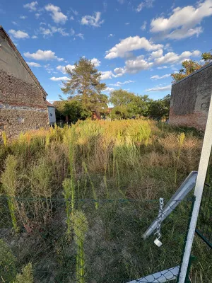 Grundstück kaufen in Gänserndorf – 500 m², € 110.000 – Bild 1 von 12