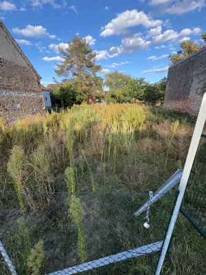 Grundstück kaufen in Gänserndorf – 500 m², € 110.000 – Bild 12 von 12