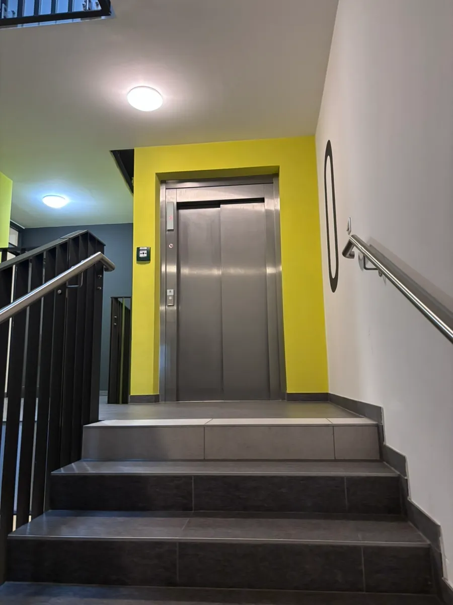 Wohnung – Rohrbach bei Mattersburg - Ansicht 3