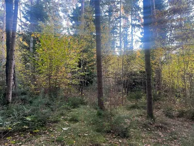 Grundstück kaufen in Graz – 30 482 m², € 159.000 – Bild 4 von 19