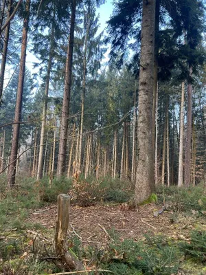 Grundstück kaufen in Graz – 30 482 m², € 159.000 – Bild 12 von 19