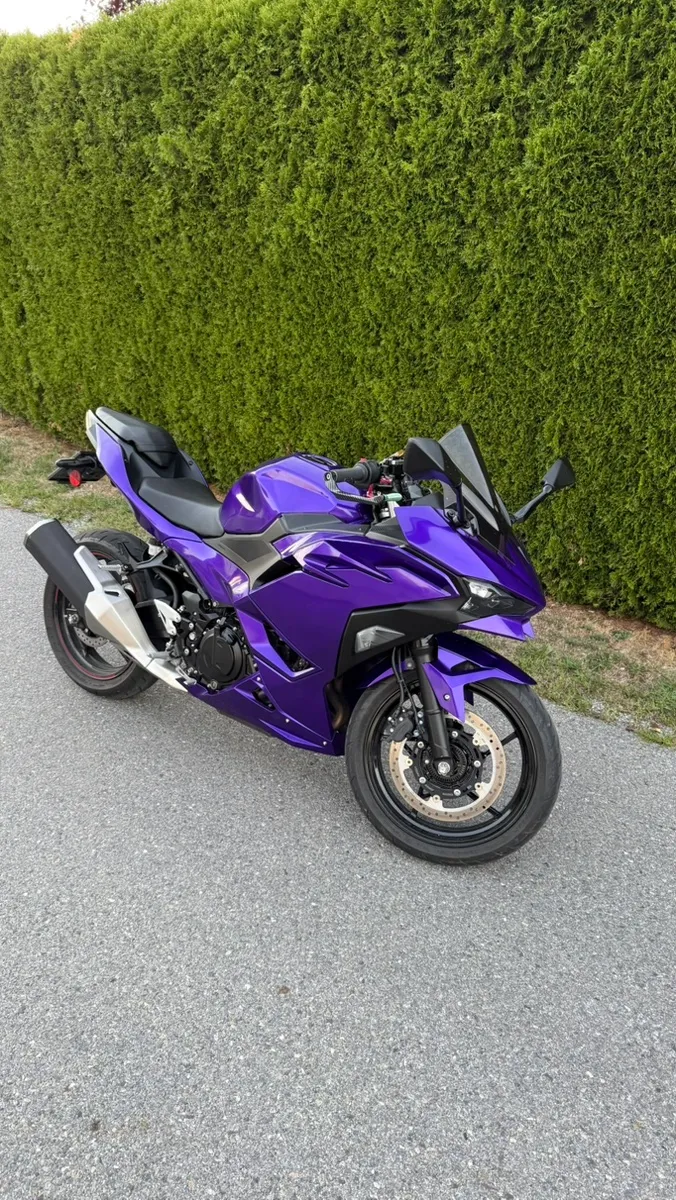 Kawasaki Sonstige