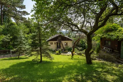 3-Zimmer-Haus kaufen in Baden – 70 m², € 300.000 – Bild 6 von 13