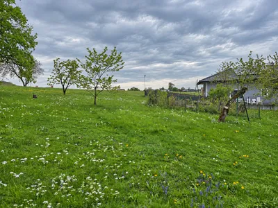 9-Zimmer-Gewerbeimmobilie kaufen in Vöcklabruck – 160 m², € 430.000 – Bild 10 von 20