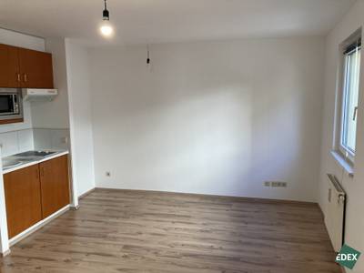 Schönes Single-Apartment nähe Augarten