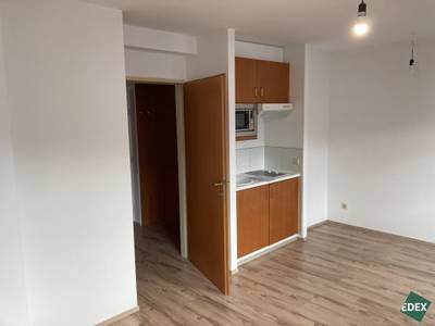 Schönes Single-Apartment nähe Augarten – Bild 2