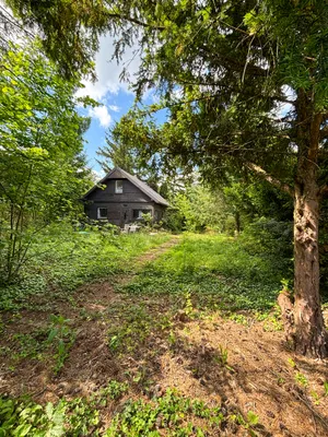 Grundstück kaufen in Wien – 1 339 m², € 699.000 – Bild 4 von 9
