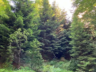 Grundstück kaufen in Hermagor – 37 976 m², € 3 – Bild 23 von 24