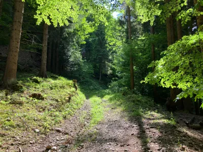 Grundstück kaufen in Hermagor – 37 976 m², € 3 – Bild 6 von 24