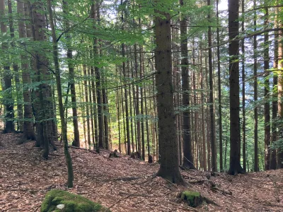 Grundstück kaufen in Hermagor – 37 976 m², € 3 – Bild 21 von 24