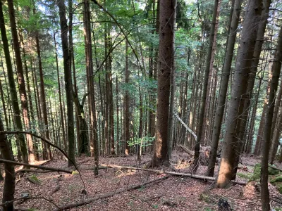 Grundstück kaufen in Hermagor – 37 976 m², € 3 – Bild 14 von 24
