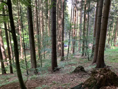 Grundstück kaufen in Hermagor – 37 976 m², € 3 – Bild 17 von 24